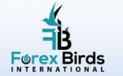 Forex Birds